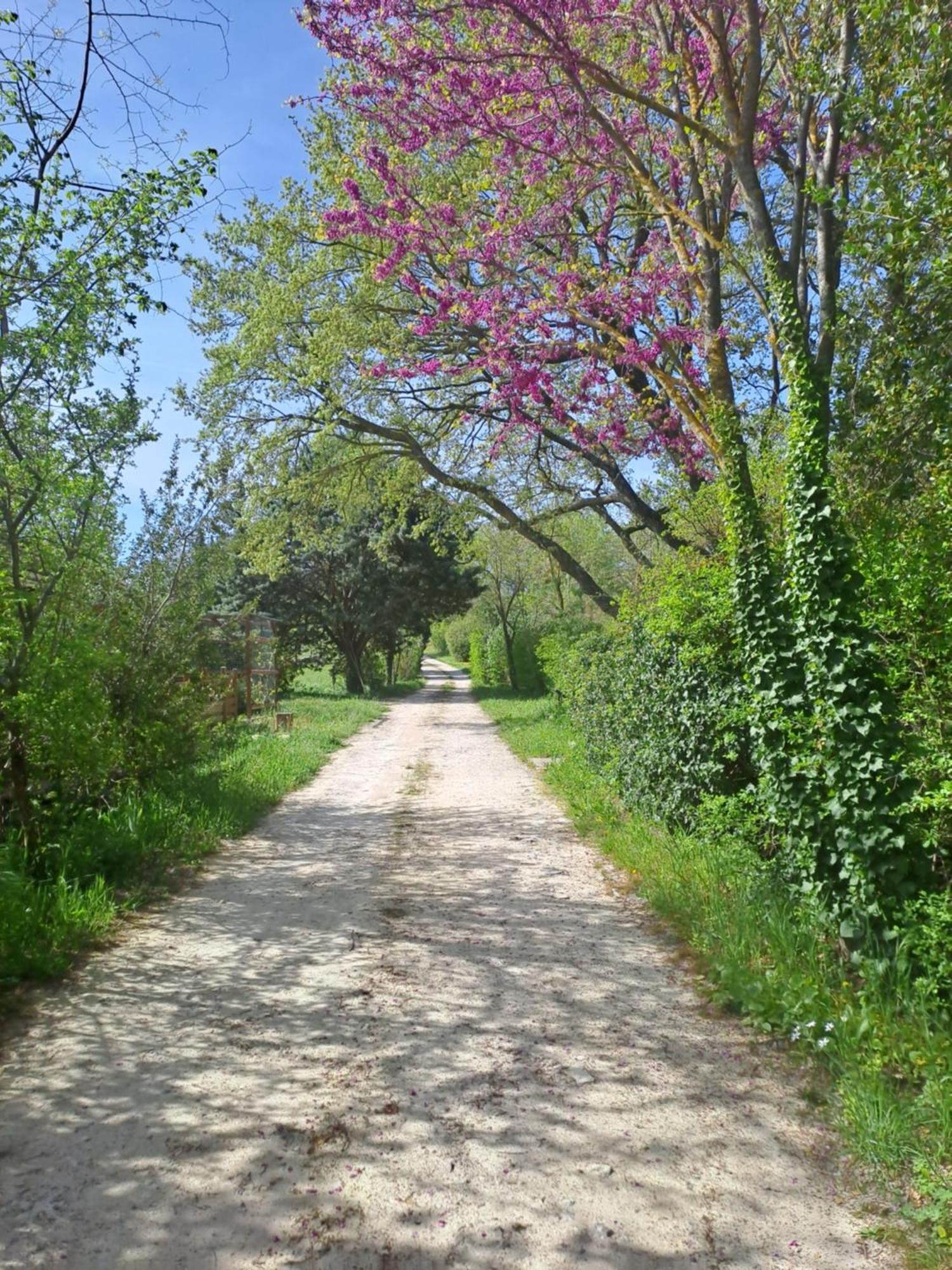 T2 Au Naturel Aix-En-Provence Esterno foto